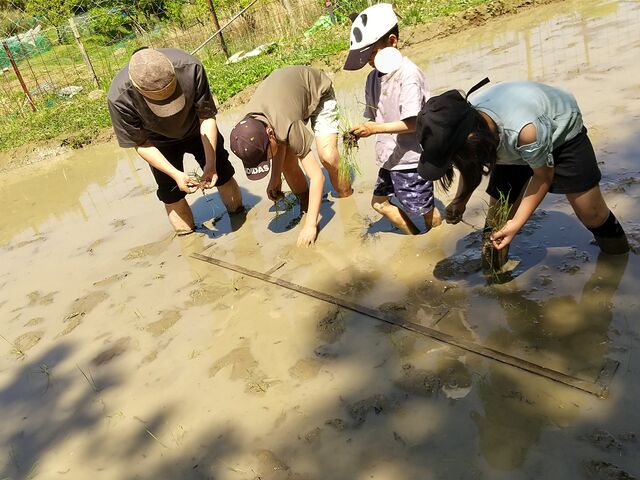 �X�q�A�^�I���K�{_�\�����J�̒I�c