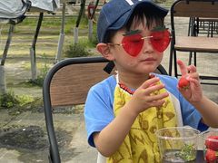 �W���C������̂�����ICHIJYU�t���[�c�t�@�[���ւ̓��e�ʐ^1