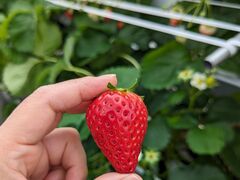 �X�g���x���[�G���W�F���̎ʐ^1