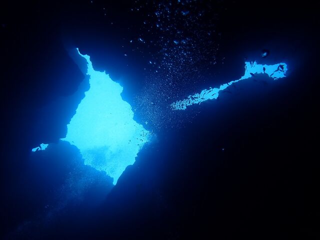 �v�킸����ۂތi�F_�_�C�r���O�V���b�v�@���[�O��