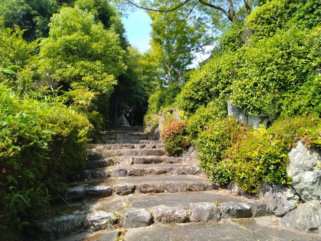 �ߘa�Z�N�Z������_���v�ޓx�_��