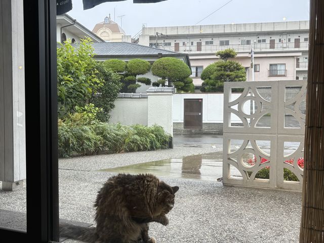 �ŔL�����_STUDION2