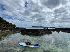 NLOUTRE ISHIGAKIւ̓eʐ^1