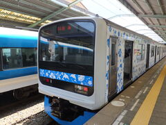 jR񂳂̈ɓ}cwւ̓eʐ^1