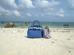 juju̐Ί_Ahx`[tHgcA[ KIBOUւ̓eʐ^1