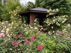 Coppice GARDEN̎ʐ^1