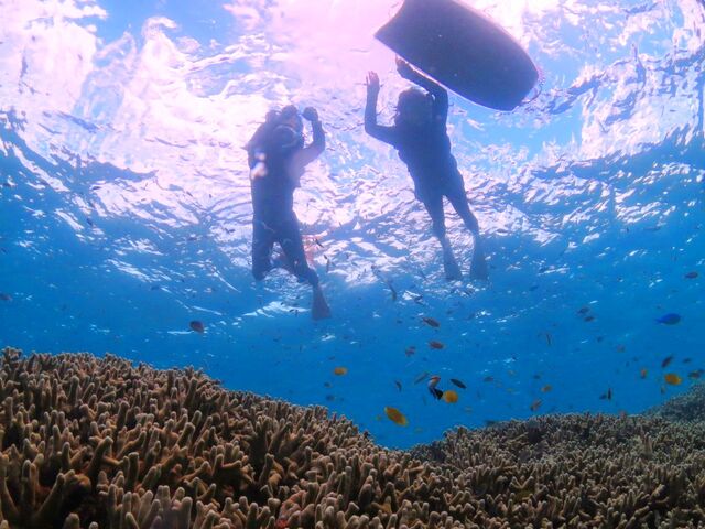 �ʐ^���B���Ă���܂��B_�I�[�V�����N���t�g�E�f�B�[�V�F���^�[