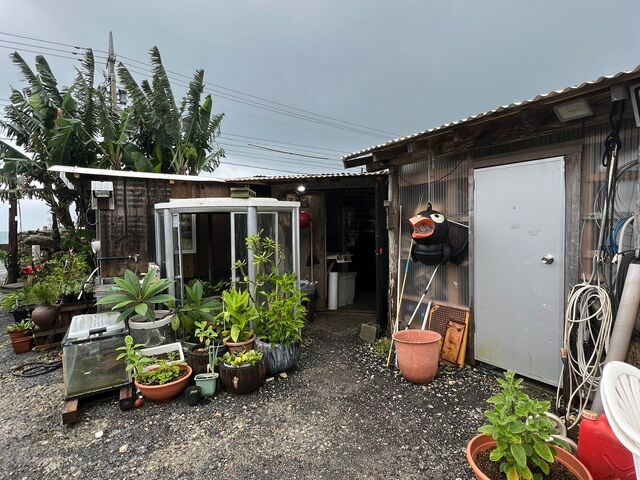 �O��_�C�Ԃǂ��������{�B��