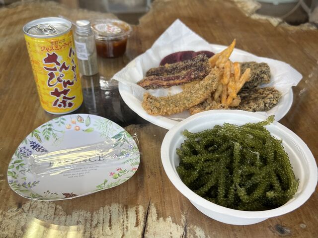 �C�Ԃǂ��ƓV�Ղ�_�C�Ԃǂ��������{�B��