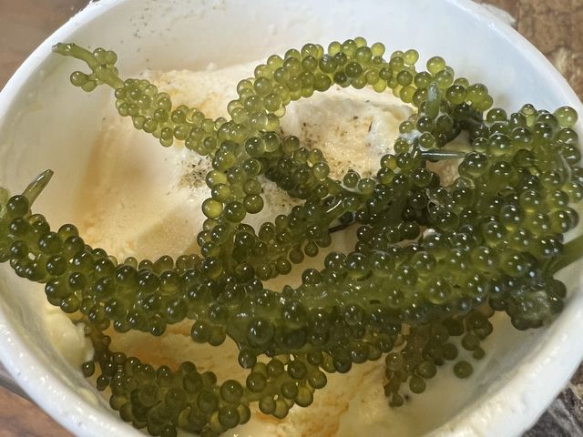 �o�j���A�C�X�ƊC�Ԃǂ�_�C�Ԃǂ��������{�B��