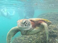 {Ó ADVENTURE PiPi̎ʐ^1