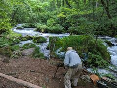 奥入瀬渓流の写真一覧 - じゃらんnet