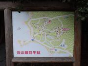 �������̊}�R�֌Q���с^�΂��̓��e�ʐ^3