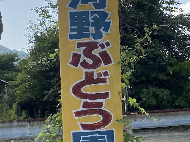 �����Ŕ�_�͖�Ԃǂ���