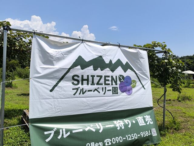 �V�C�ǂ��ċC��������_SHIZEN�u���[�x���[��