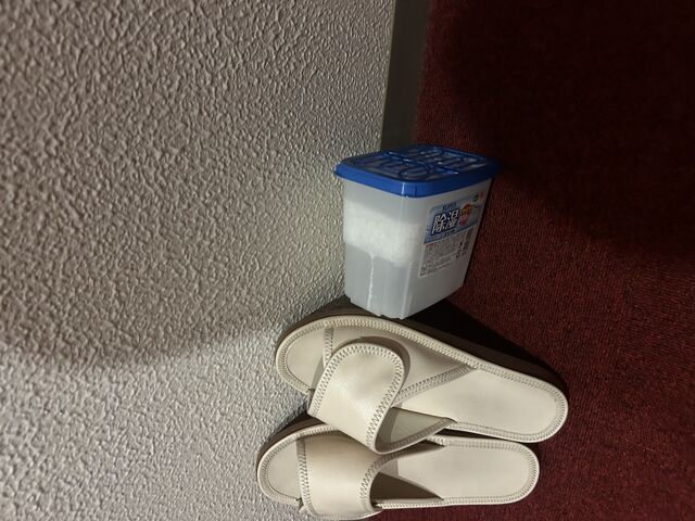 łIt͉ÂĂ܂A܂̓X^btGȂł傤__@[[