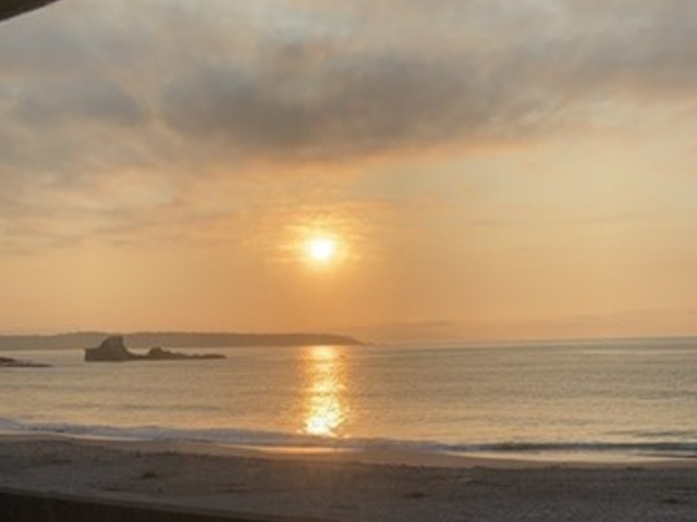 ����_�c���C������