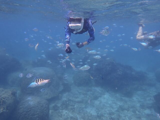 �C�����₩�A���ɉa���������炽���������Ă��܂���_�V�[�g���x���[