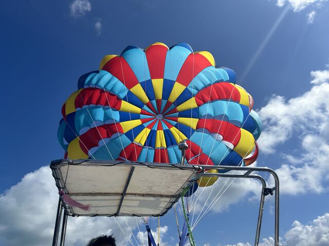 ���ی���Ƃ��Ȃ�傫���ł��I_ANKER THE OCEAN CLUB