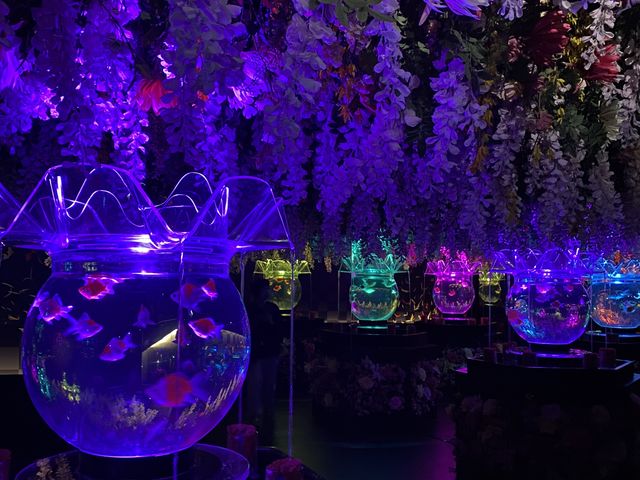 �A�[�g�A�N�A���E�����p��_�A�[�g�A�N�A���E�����p�� GINZA