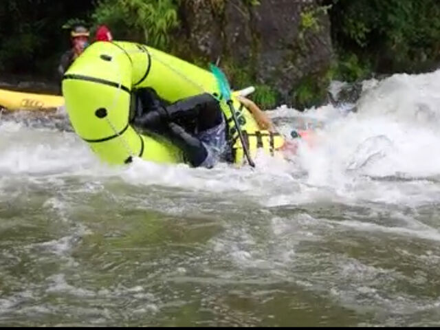 ���q�ɏ��Ɠ]�����܂����K�C�h���񂪂����ɏ����Ă���܂���_ELEANOR (�G���m�A)