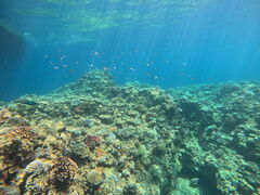 ͂̃}Nu Gigiւ̓eʐ^1