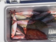 5�ꂳ���sea-Walker�ւ̓��e�ʐ^1