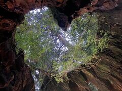 ȁ[񂳂Yamakaravւ̓eʐ^1