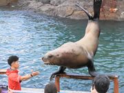 Ƃ񂳂̂鐅ق̓eʐ^2