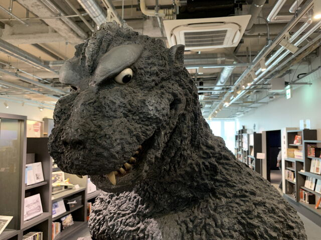 ۂۂ̉~Jp~[WA̓eʐ^1