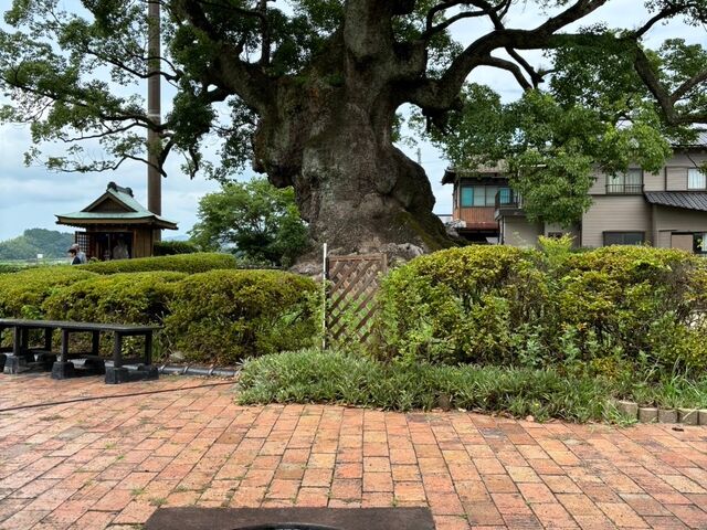 �_�l���������Ȑ_��I�ȓ��_��Â̑������@�ג���