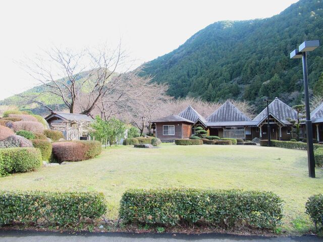 �h���{�݁u�R�e�[�W�v_�����Ƃ뉷�� ��܂̂��