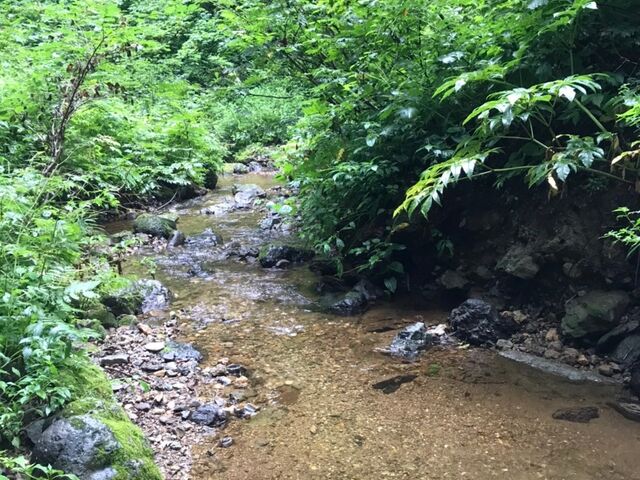 �{�����Y��ȑ򐅂ł����I_�k�㑃��