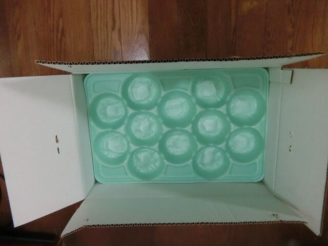 kenchan̋{ʎό̓eʐ^2