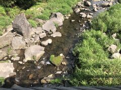 �����X�}�C������̊֔V����ւ̓��e�ʐ^1