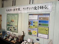 悳̂킵܃}p[Nւ̓eʐ^1