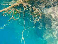 B6����̋{�ÃA�E�g�h�A�Z���^�[�ւ̓��e�ʐ^1