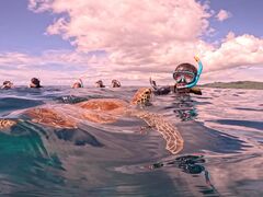 ƂSHISHIΊ_ւ̓eʐ^1