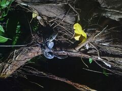 񂳂OCEAN LIFEւ̓eʐ^1