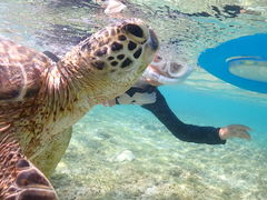 Melody̋{Ó} GB QUESTւ̓eʐ^1