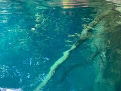 Ђ܂肳̃Ohւ̓eʐ^1