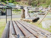 ڂ炳̓̉w Ƃ̓eʐ^3