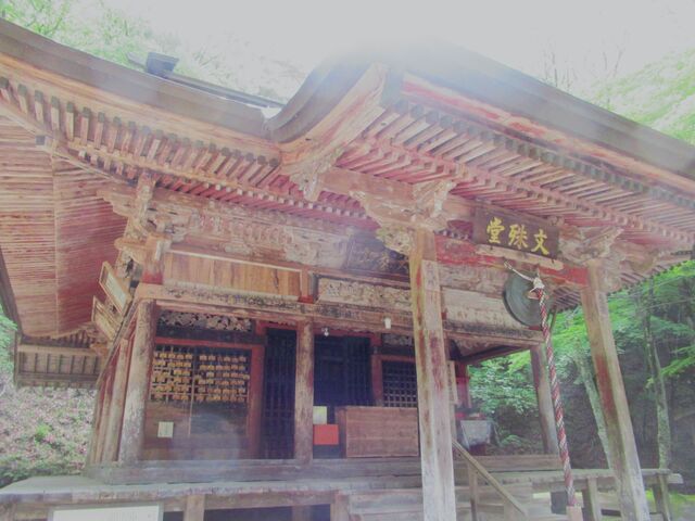 �����݂���A�X�ɐL�т���q�̃��C���������I�Ō����B_���ꓰ�i���쌧��c�s�j