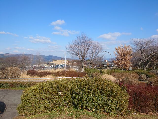 啪ʕ{s@ʕ{pT[rXGA_ʕ{pT[rXGA