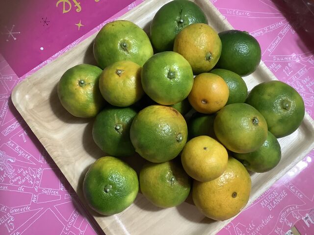 ���y�Y�݂̂���1.5kg��_�O�x��