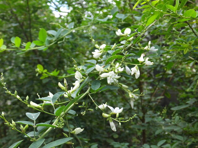 ����_�����