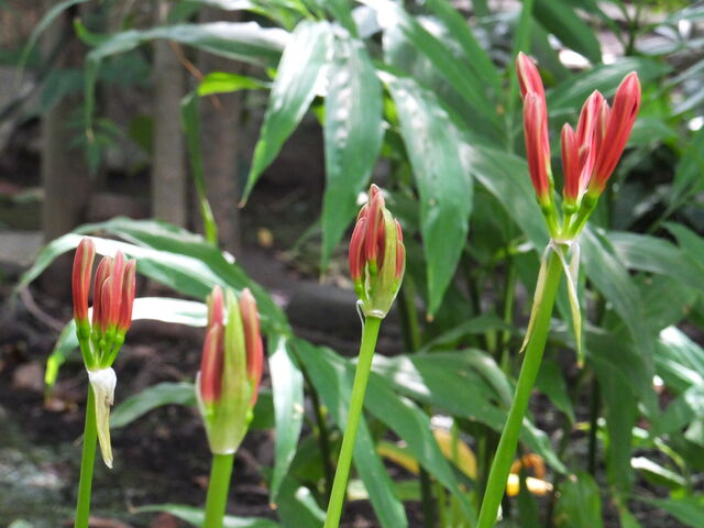 �܂��Q�̔ފ݉�_�����