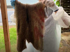 񂳂̊CRŘZ~i[nEXn^[YCւ̓eʐ^1