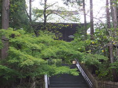 �j�R����񂳂�̉~�o���ւ̓��e�ʐ^1