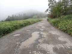 �}�C�a�n�n����̔������ւ̓��e�ʐ^1